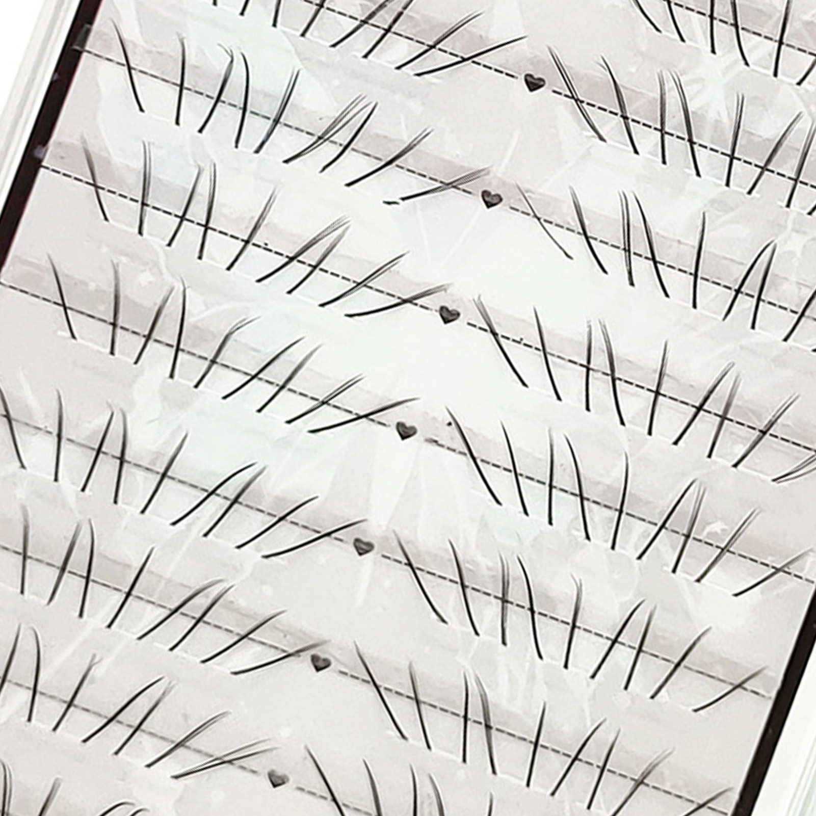 Natural Cat Paw Lower Lashes C - Eyelash Extension Cat Eye recension och pris